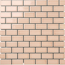 252-04 Beige Gloss VINTEFUMO