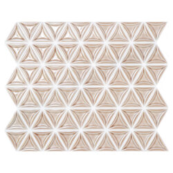 LN-002 Brown Gloss LINO