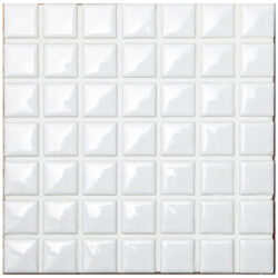 N-207 White Gloss SAVOR 19.5mm